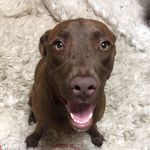 @daisy.hicks_ - Instagram