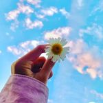 Jyoti Saroj - @daisy_hills_flower - Instagram