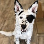 Daisy Hoffman - @daisybutnottheflower - Instagram