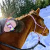 daisyhoffman6 - @daisyhoffman6 - TikTok