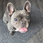 DaisyHunter - @daisy_hunter2020 - Instagram