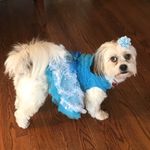 Daisy Hyde - @daisyhyde214 - Instagram