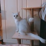 daisyhyde - @daisyhyde_ - Instagram