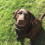 Daisy May Inman - @_daisy_bear_ - Instagram