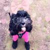 user9151448597889 - @daisyirwin12 - TikTok