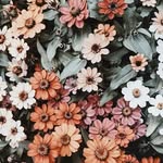 Daisy Islam - @daisy.islam.792 - Instagram