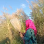 Daisy Islam - Facebook