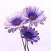 daisy - @daisyjane_ - TikTok