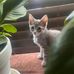 Daisy Jaquez - Facebook
