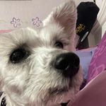 ❤️🥰Daisy Jaquez 🥰❤️ - @moredaisy_9.21 - Instagram