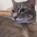 Daisy Jara - @d_jarar - Instagram