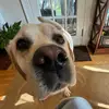daisy - @daisyjavierr - TikTok