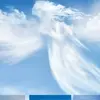 Daisy Jenkins - @daisy.jenkins3 - TikTok