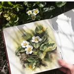 Daisy - @daisyjoe._____ - Instagram