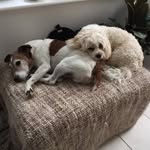 Julie Weir - @daisyjoesunshine - Instagram