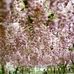 Daisy Jorge - Facebook