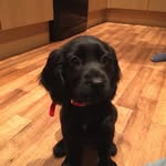 Daisy Juddge - @daisyjuddge - Instagram