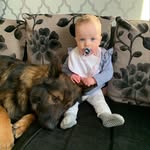@adventureswithdaisyandkaiser - Instagram