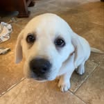 Daisy Mae - @daisymaekaiser - Instagram