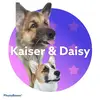 Kaiser & Daisy - @kaiser.daisy.miami - TikTok