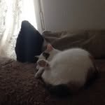 Kaiser Daisy - @kaiserdaisyfamily - Instagram