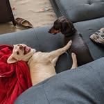 @kaiseranddaisy - Instagram