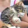 Jona SE💯 - @daisykatze - TikTok