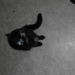 Leonie mein - @daisy_katze - Instagram
