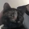 user812607961827 - @daisy.katz2326 - TikTok
