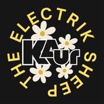 Daisy Kaur + The Electrik Sheep - @daisykaur.andthe.electriksheep - Instagram
