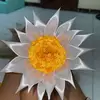 Daisy Keith - @daisykeith3 - TikTok
