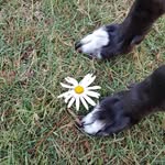 Daisy Keith, Yeppoon, Gateway to the Great Barrier Reef, Qld - @daisykeith2013 - Instagram