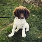Daisy Kemp - @stop_it_daisy - Instagram