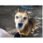Daisy🐶🐾 - @daisy_kenny - Instagram