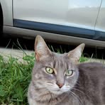 Daisy Guinard - Facebook