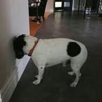 Daisy Kinard - @doodlebug_34 - Instagram