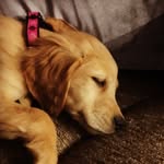 Daisy Knapp - @daisyknapp - Instagram