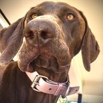 Daisy Too Knowles - @daisytoo_knowles - Instagram
