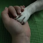Daisy Kohen - @daisy_kohen - Instagram