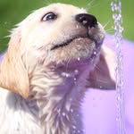 Daisy - @daisy_.krause - Instagram