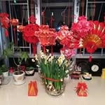 Daisy Kwan - @daisy.kwan.524 - Instagram