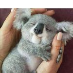 Daisy Kwok - @kdaisykwok - Instagram