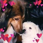 Daisy Kwok - @daisy.kwok.564 - Instagram