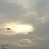 Daisy Kwok - @31865655161 - TikTok