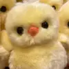 uoiia777 - @daisykwok7_ - TikTok