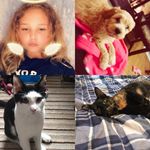 🐱oreo🐱daisy🐶bella👼🖕🏻lacey💋 - @lacey.pets.x - Instagram