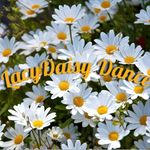 LacyDaisy Dance - @lacydaisydance - Instagram