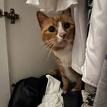 Daisy - @daisylaird123 - Instagram