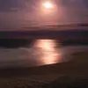 Daisy Lakey - @daisy.lakey - TikTok