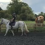 Daisy Lambden-Francis - @daisylambden - Instagram